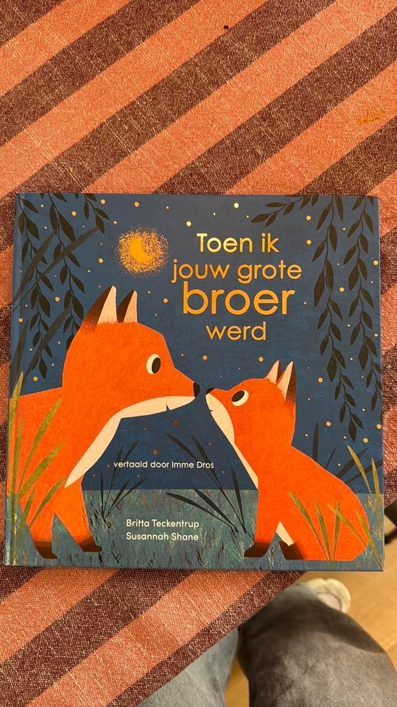 Boek ‘toen ik jouw grote broer werd’, Ophalen of Verzenden, Zo goed als nieuw