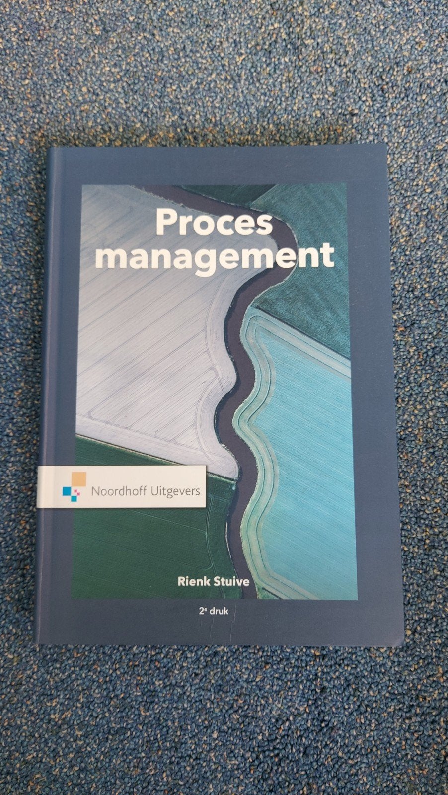 Rienk Stuive - Procesmanagement, Boeken, Sociale wetenschap, Rienk Stuive, Ophalen of Verzenden, Zo goed als nieuw