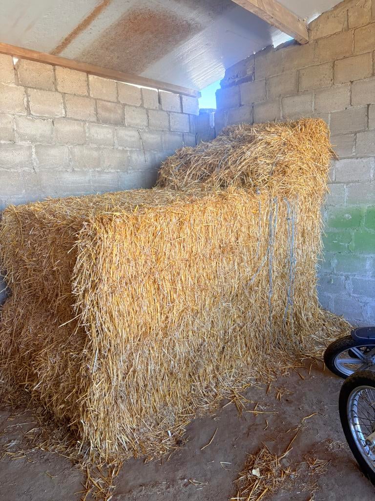 2 stuk stro balen 450kilo, Dieren en Toebehoren, Dierenvoeding, Ophalen, Vee