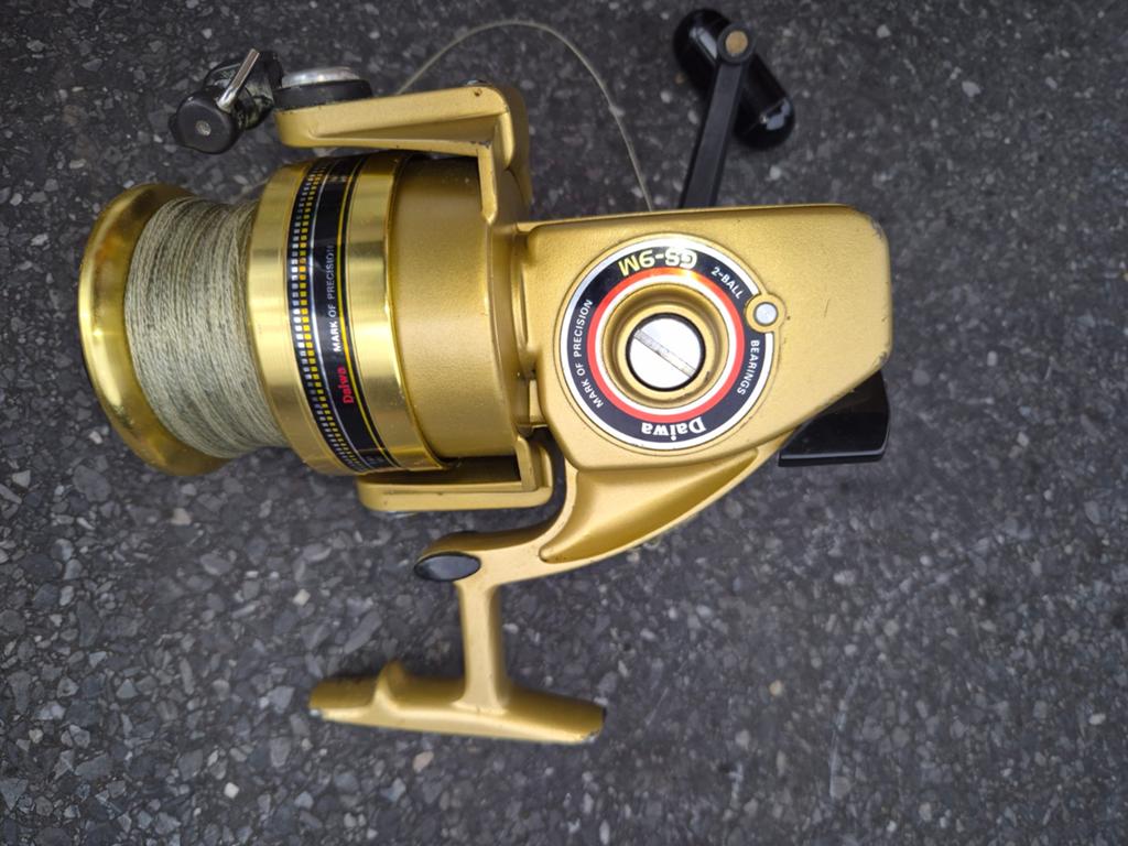 Daiwa Gold GS9 zeemolen, Ophalen of Verzenden, Gebruikt, Molen