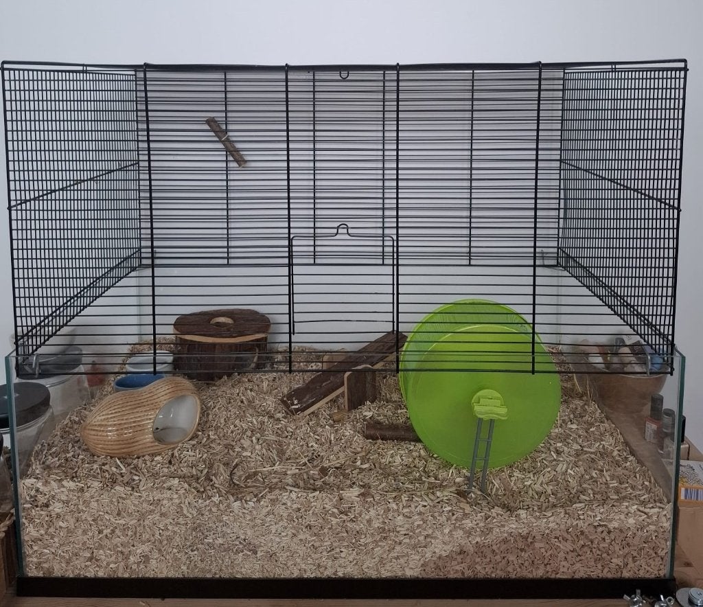 Kooi knaagdier, Dieren en Toebehoren, Ophalen, Kooi, Gebruikt, 60 tot 90 cm