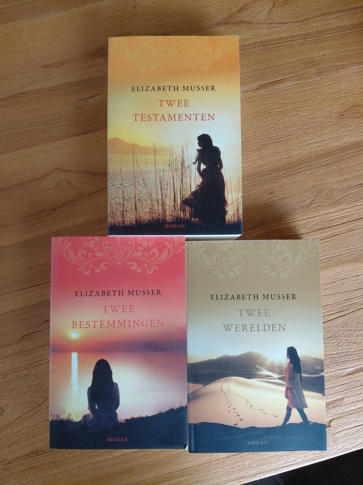 Elizabeth Musser - Twee Testamenten, Bestemmingen, Werelden, Ophalen of Verzenden, Zo goed als nieuw, Elizabeth Musser, Nederland
