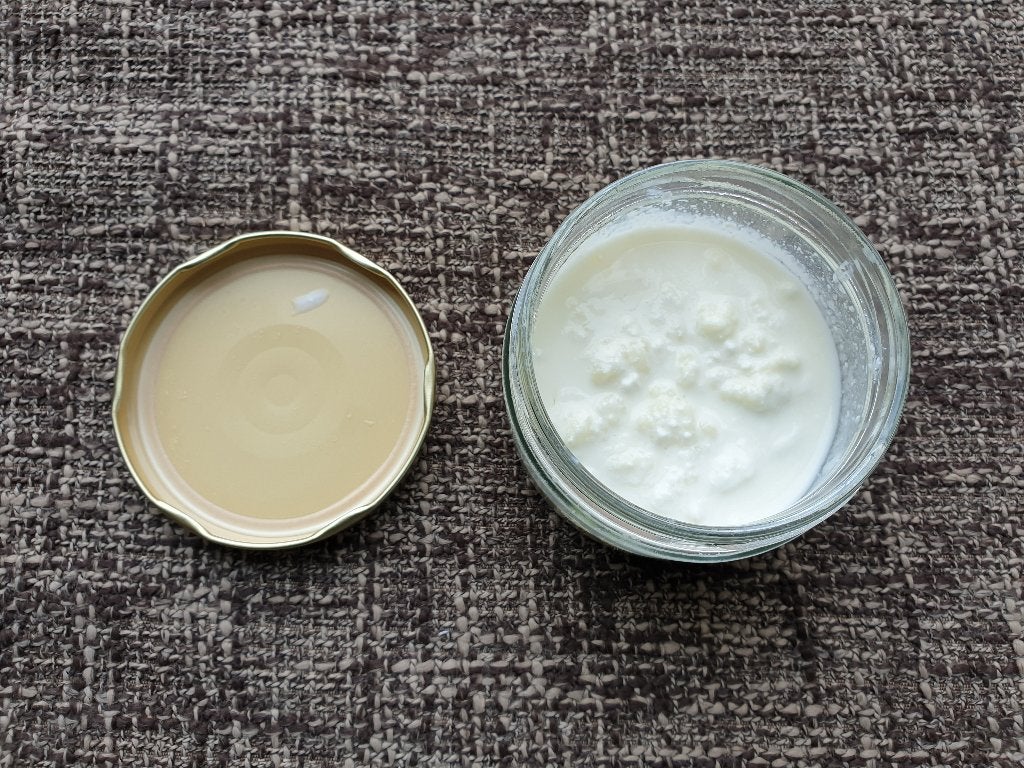 100 gram verse melkkefir korrels te koop, Diversen, Ophalen