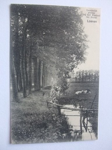 P264 Loenen - Plekje bij het kasteel ter Horst, Verzenden, Voor 1920, Ongelopen, Gelderland