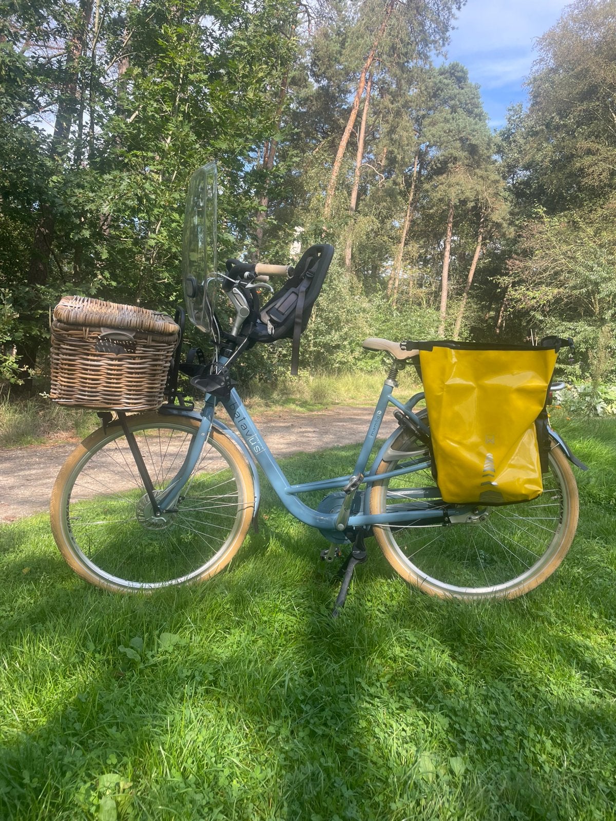 Z.g.a.n. damesfiets met kinderzitje, mand en fietstassen, Ophalen, Zo goed als nieuw, Batavus, Versnellingen