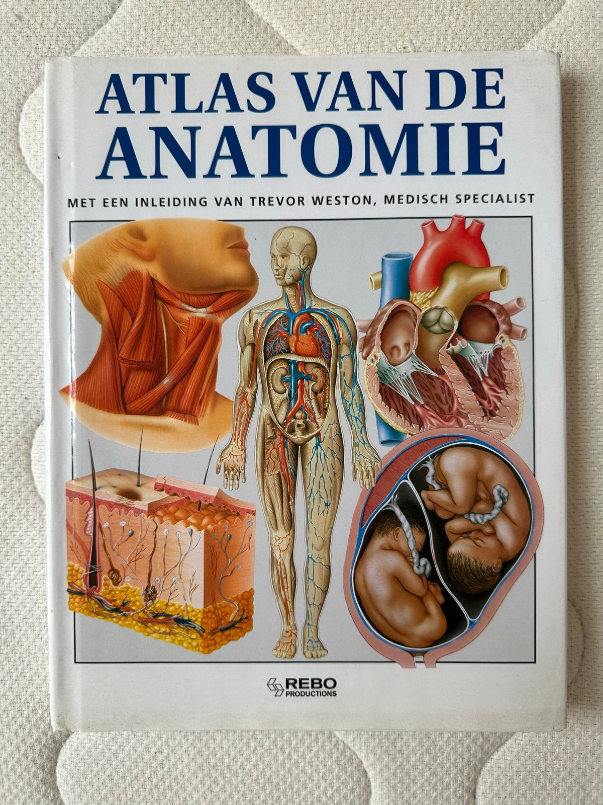 Atlas van de Anatomie - Medisch Specialist, Ophalen of Verzenden, Beta, Gelezen, HBO