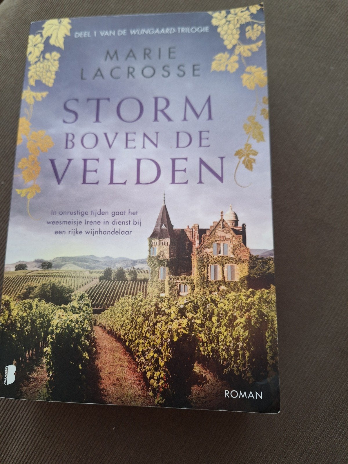Storm Boven De Velden - Marie Lacrosse (Deel 1), Ophalen of Verzenden, Gelezen, Marie Lacrosse, Europa overig