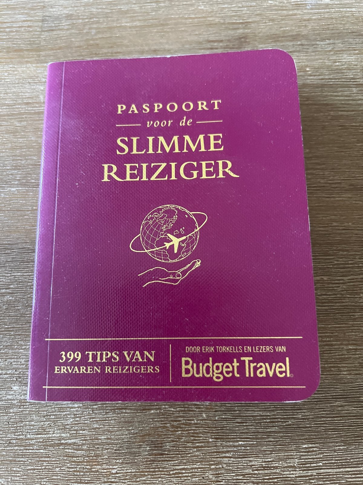 Paspoort voor de Slimme Reiziger - 399 Tips, Overige merken, Budget, Ophalen of Verzenden, Zo goed als nieuw
