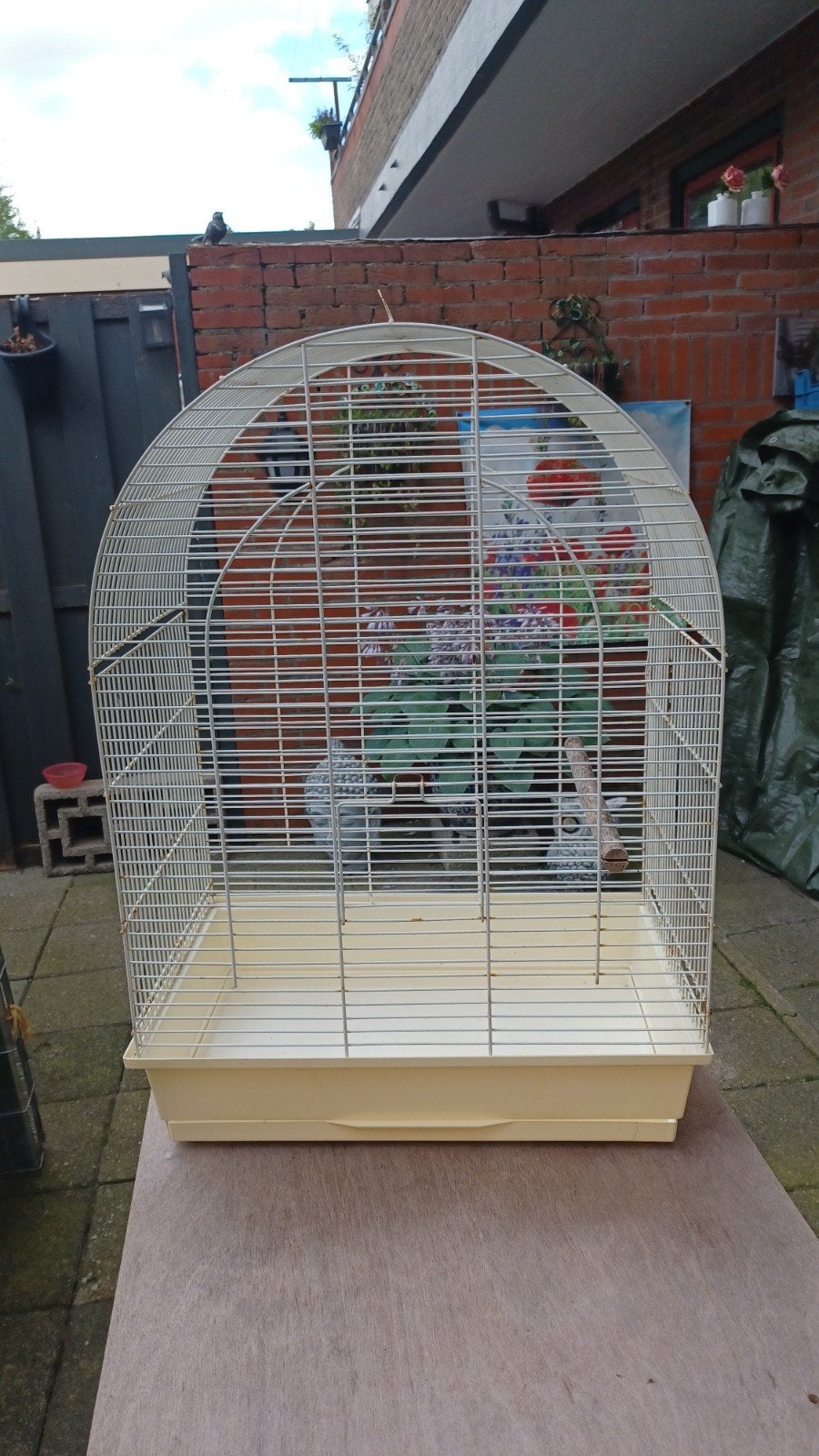 grote vogelkooi, Ophalen, Gebruikt, Metaal, Vogelkooi