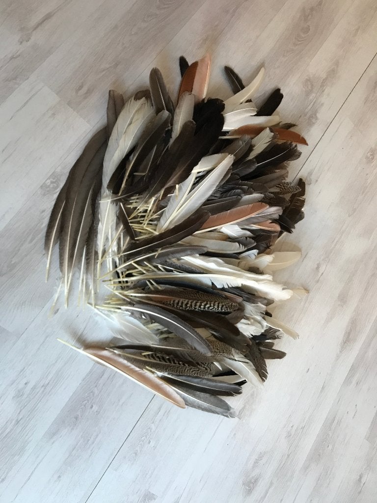 Steunveren van Pauwen, Ophalen, Gebruikt, Natuurlijk materiaal