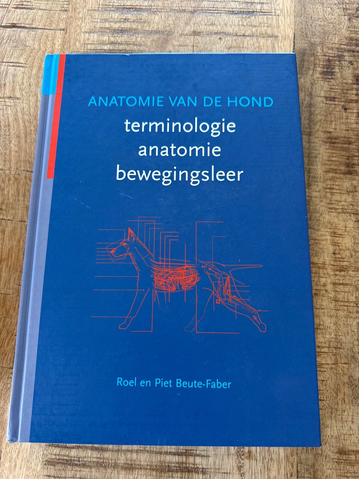 Anatomie van de Hond - Terminologie, Anatomie, Bewegingsleer, Boeken, Ophalen of Verzenden, Gelezen, Honden