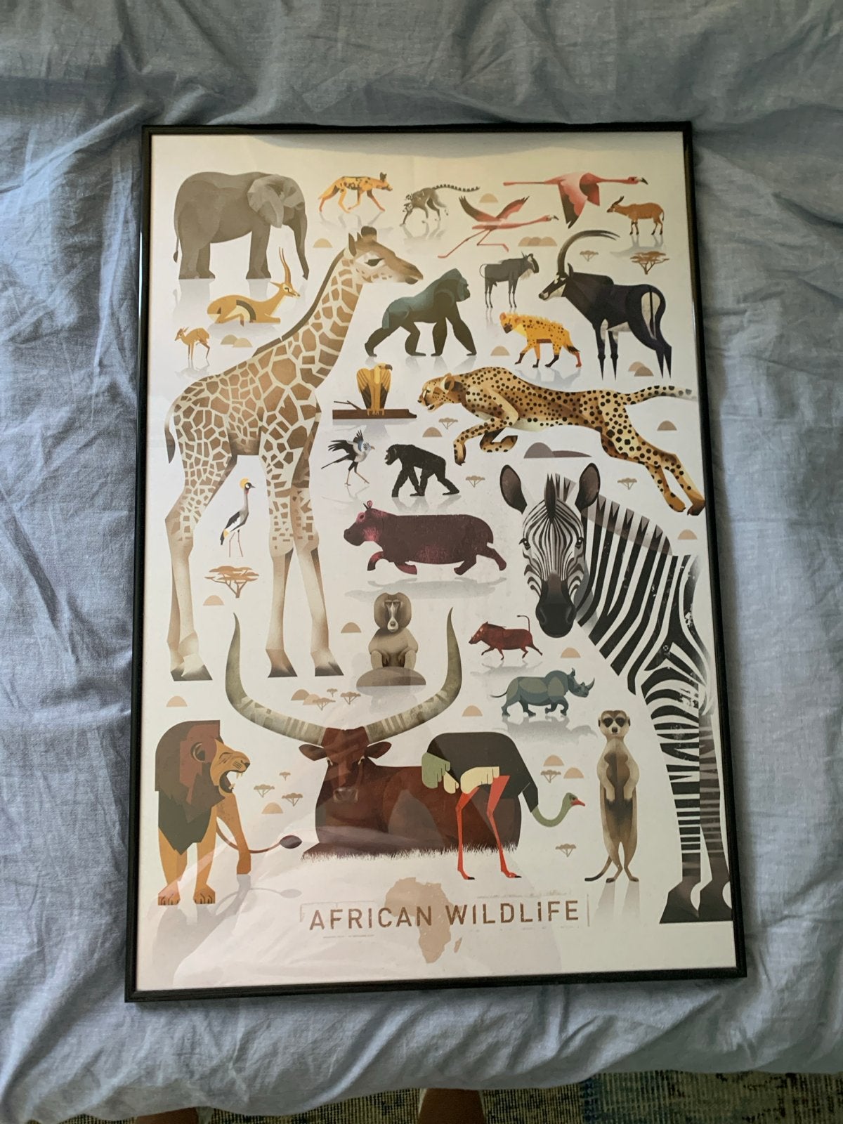 Ingelijste poster Afrikaanse wilde dieren, Ophalen, Zo goed als nieuw, Foto of Poster, 75 – 100