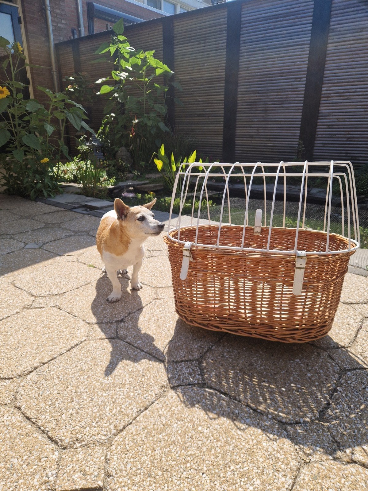 honden fietsmand, Ophalen of Verzenden, Gebruikt, Fietsmand