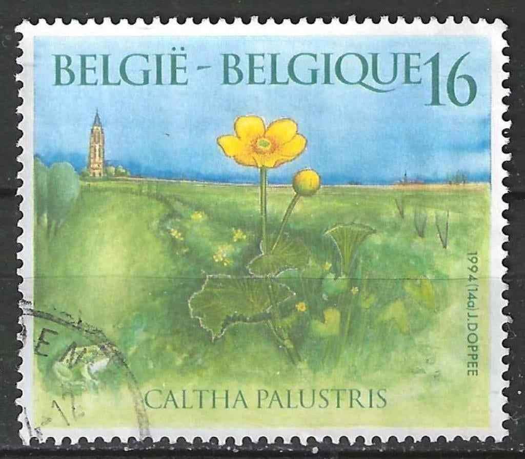 Belgie 1994 - Yvert/OBP 2572 - Natuur - Planten (ST), Verzenden, Gestempeld