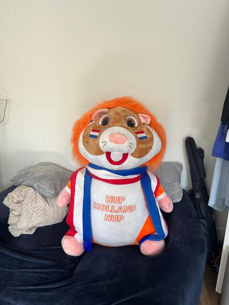 Albert Heijn Grote Oranje Hamster Knuffel - Hup Holland Hup, Kinderen en Baby's, Speelgoed | Knuffels en Pluche, Ophalen, Oranje