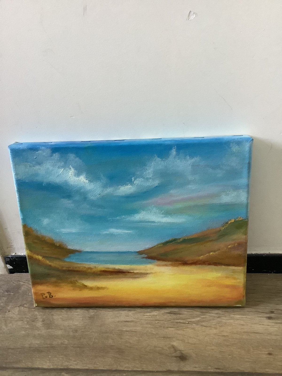 Schilderij Zeegezicht, Minder dan 50 cm, Ophalen of Verzenden, Zo goed als nieuw, Schilderij