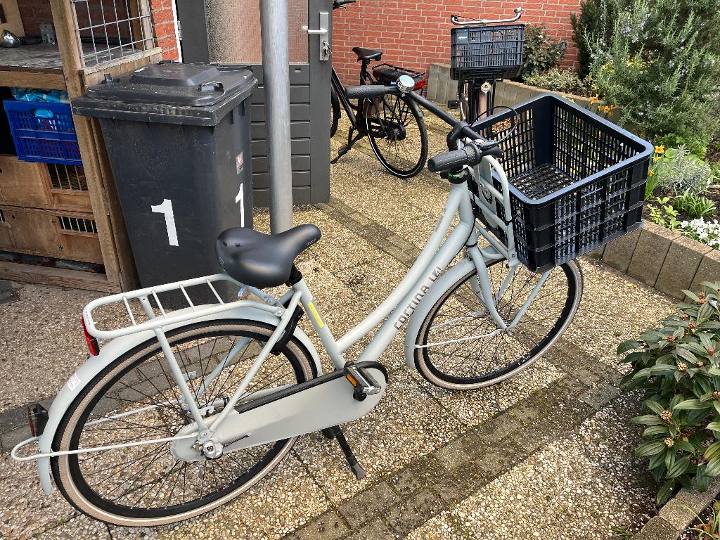 Cortina dames fiets, Terugtraprem, Gebruikt, Versnellingen, 50 tot 53 cm