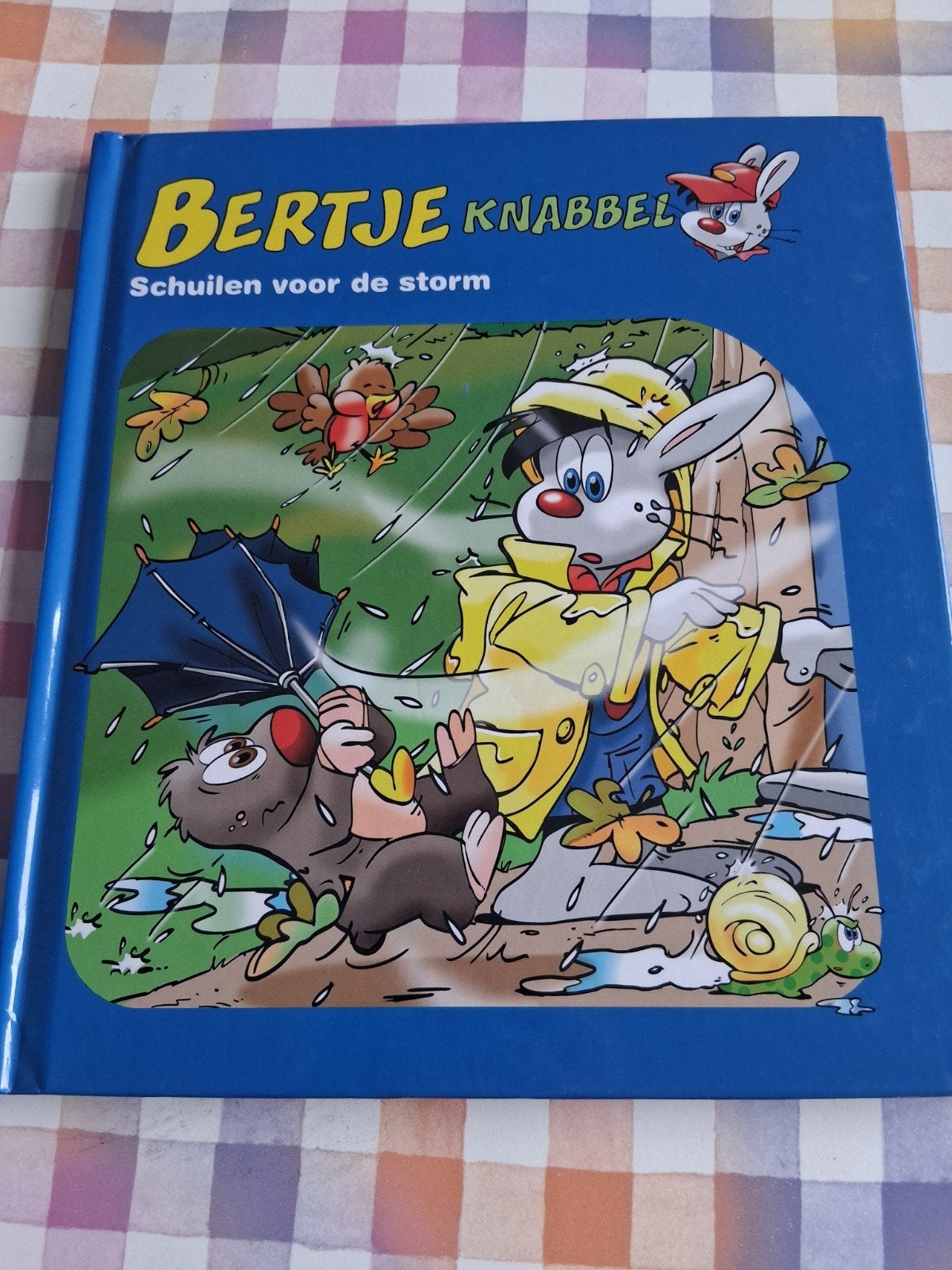 boek bertje knabbel schuilen voor de storm, Ophalen of Verzenden, Gelezen, 2 tot 3 jaar