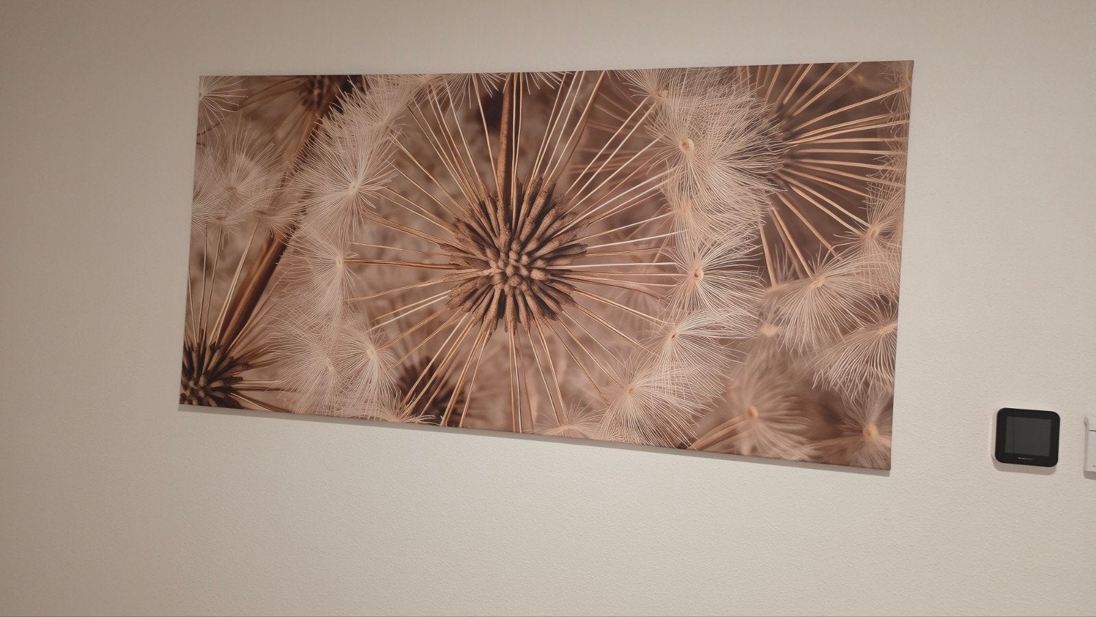 Prachtige wanddecoratie: Paardenbloem (140 cm breed), Gebruikt, 125 cm of meer, Ophalen of Verzenden, Foto of Poster