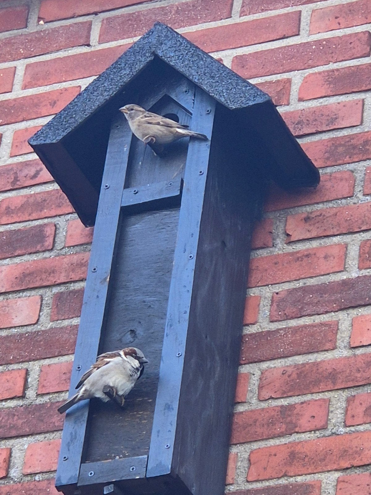 allerlei nestkasten, Ophalen