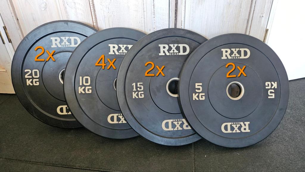 RXD Gear Halterschijven | totaal 120kg, Ophalen, Gebruikt, Rug, Halterschijven