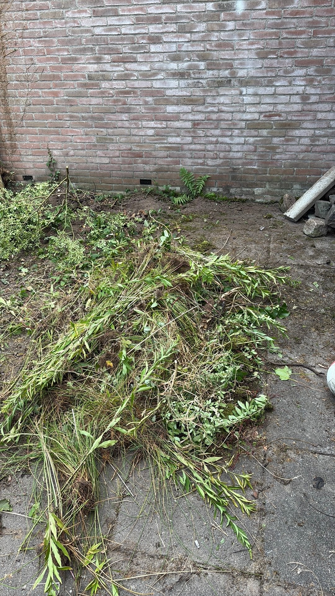 Tuinman gezocht, Ophalen, Overige soorten, Volle zon
