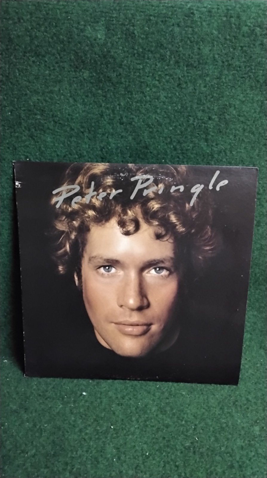 PETER PRINGLE, Ophalen of Verzenden, LP