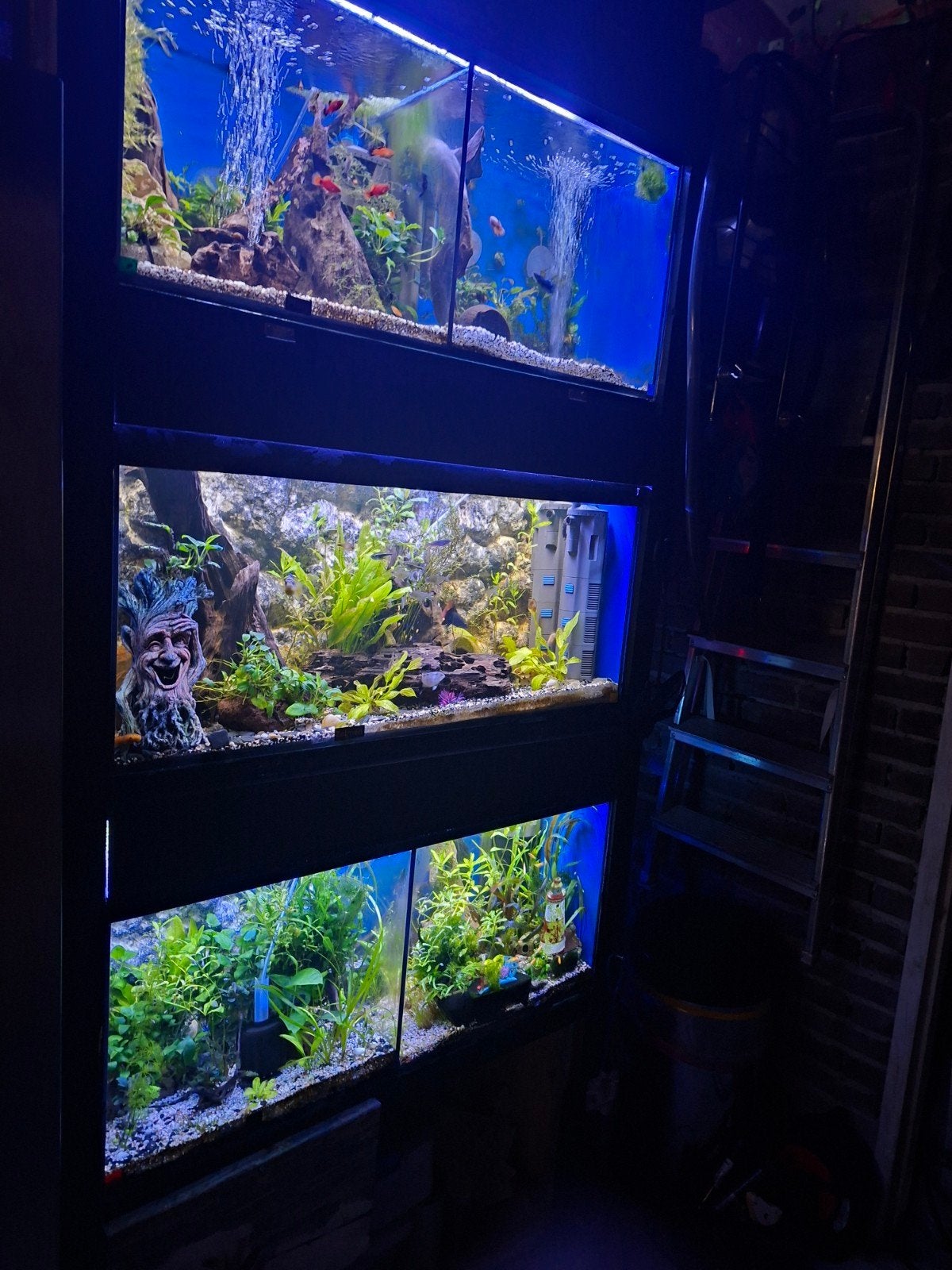 aquarium stelling (opknapper), Ophalen, Leeg aquarium