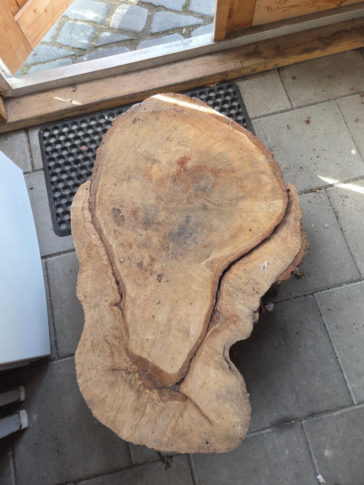 groot stuk boomstam, Doe-het-zelf en Verbouw, Ophalen, Overige typen, 50 mm of meer, Minder dan 200 cm