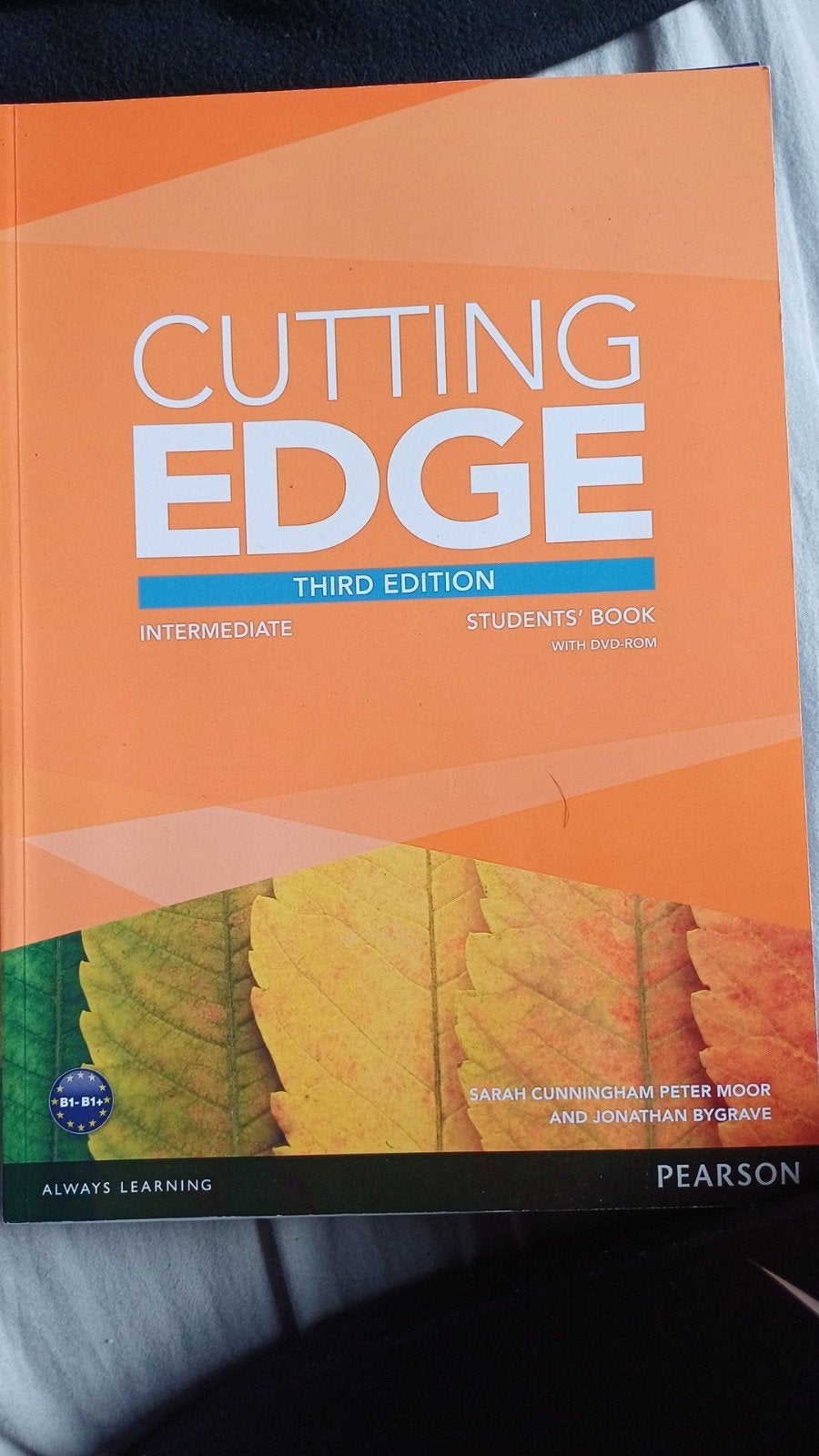 cutting edge, talentenwijzer, startrekenen, Boeken, Ophalen of Verzenden, Beta, Nieuw, MBO