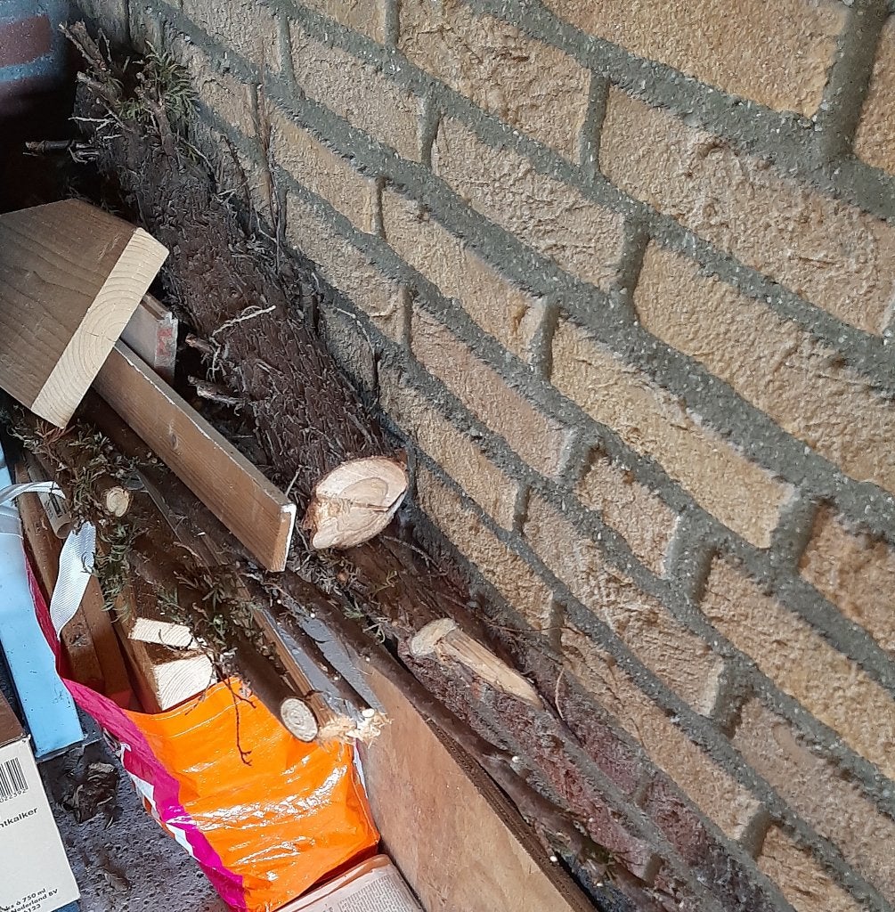 Haardhout, hout voor tuinhaard, openhaard. Tuinkachel, Tuin en Terras, Minder dan 3 m³, Ophalen
