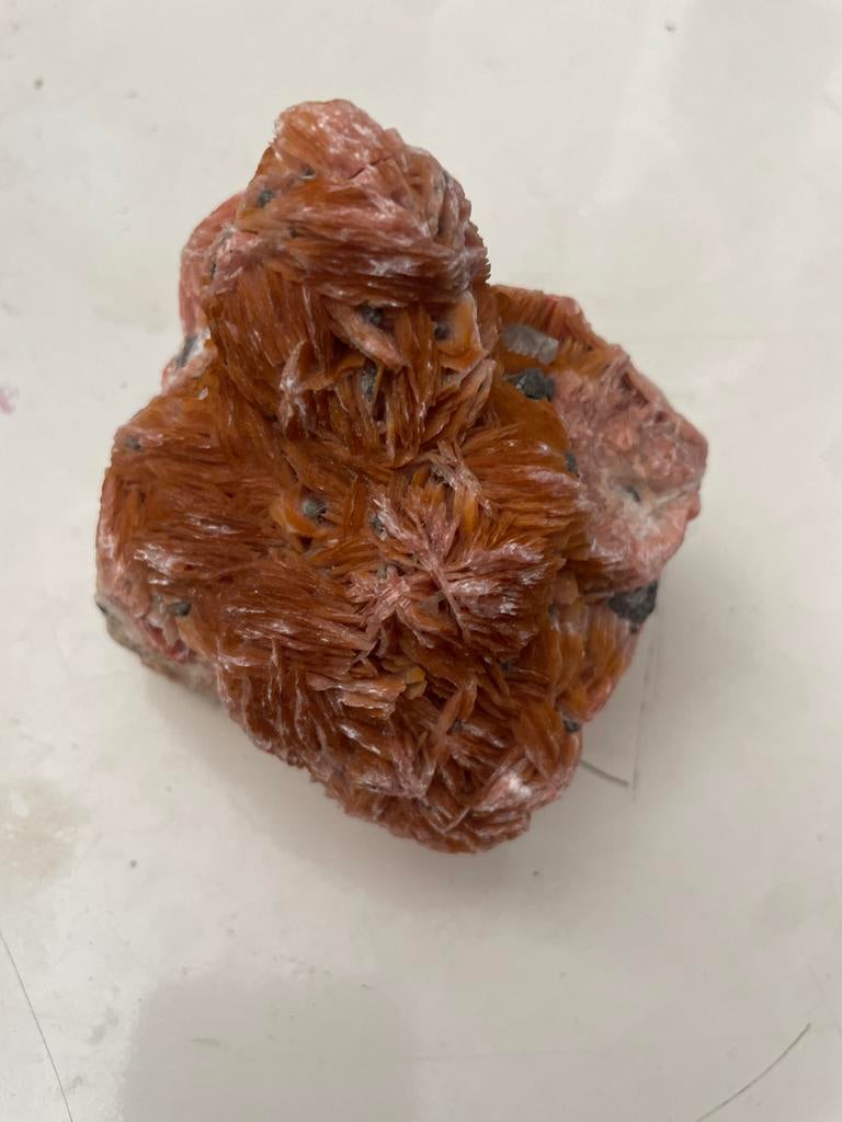 Unieke woestijnroos mineraal - Natuurlijke schoonheid, Ophalen of Verzenden, Mineraal