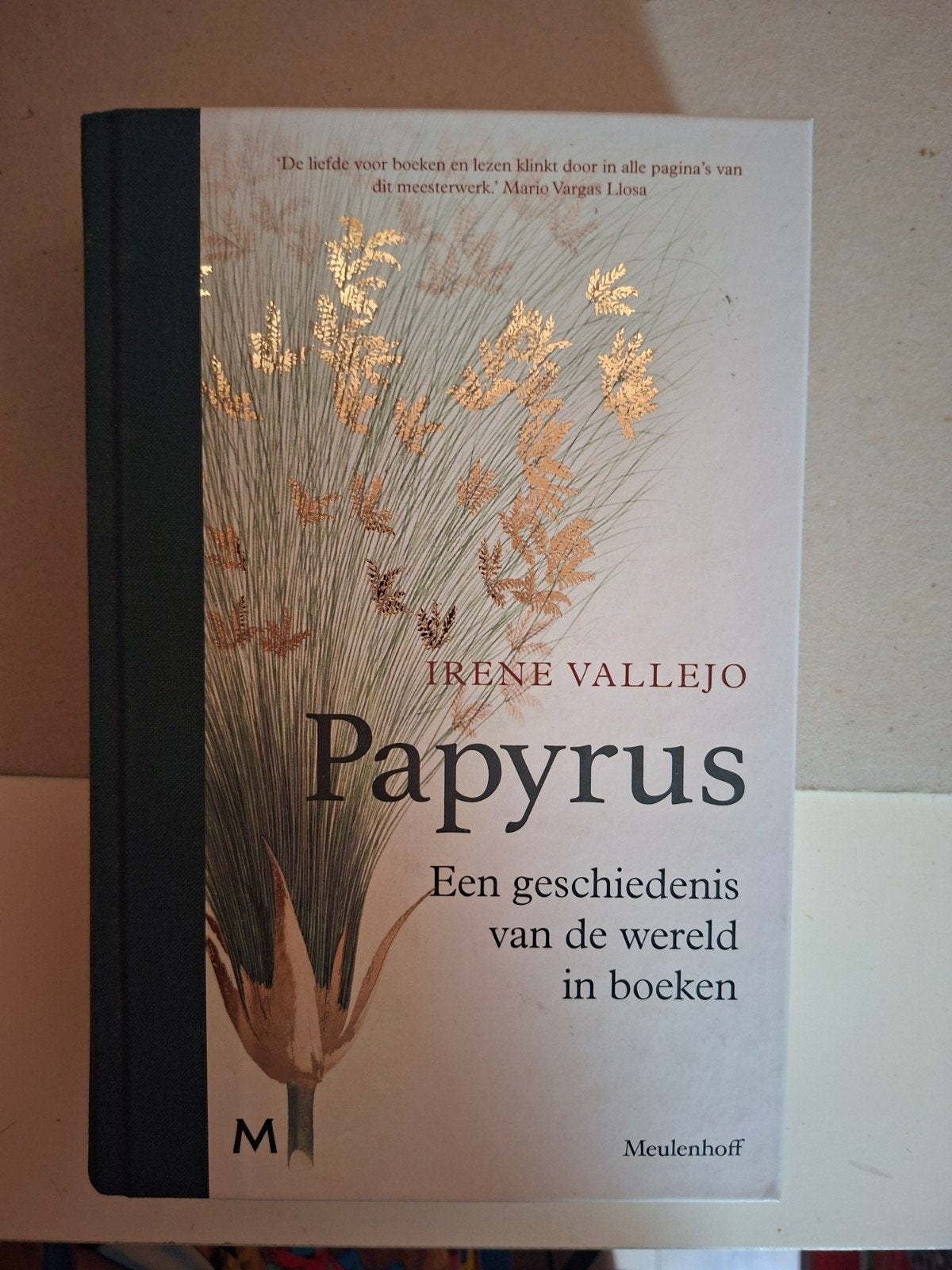 Irene Vallejo - Papyrus, Verzenden, Zo goed als nieuw, Irene Vallejo