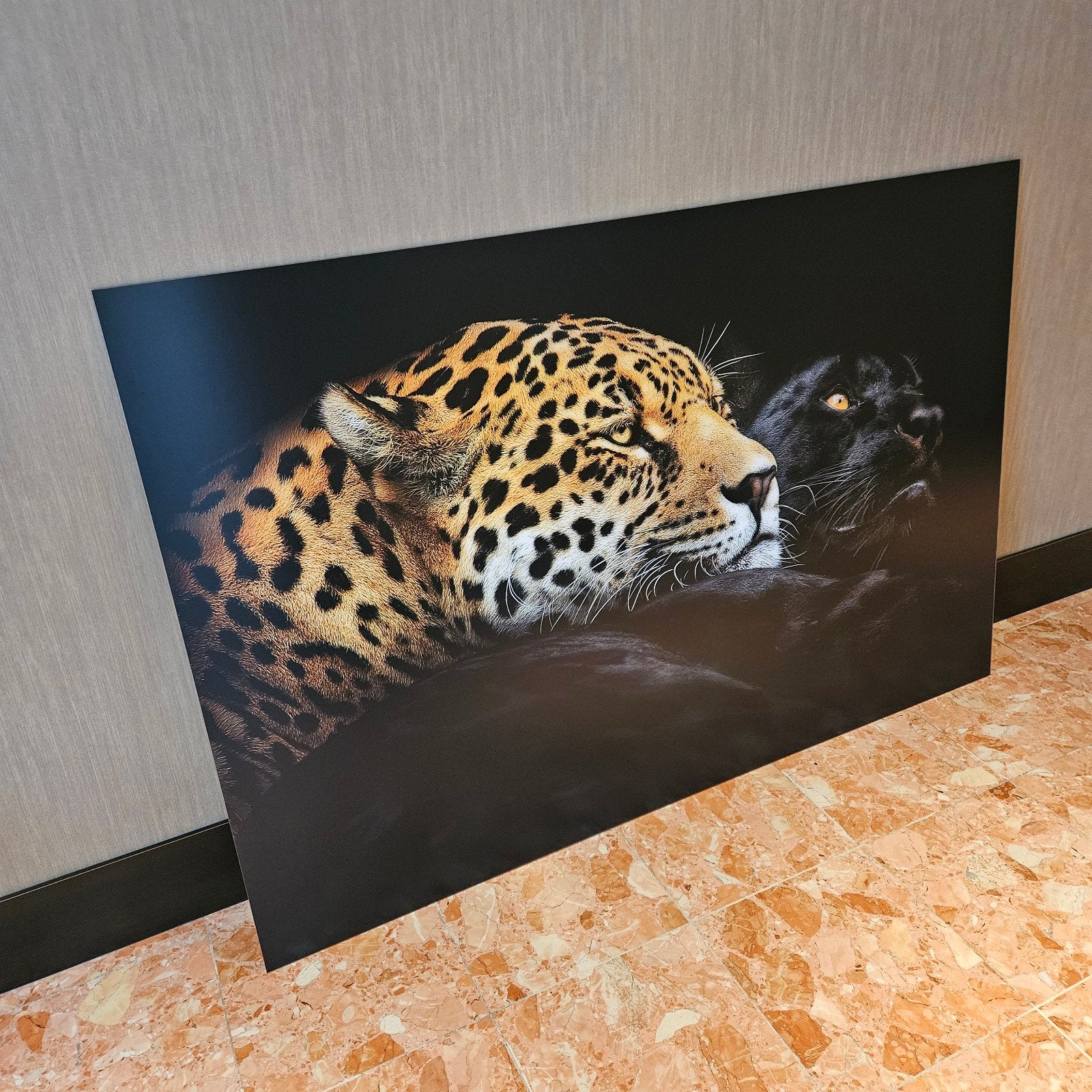 Pedro Jarque Krebs - Ebony and Ivory - mat aluminium, Ophalen, Foto, Fotografie, Genummerd