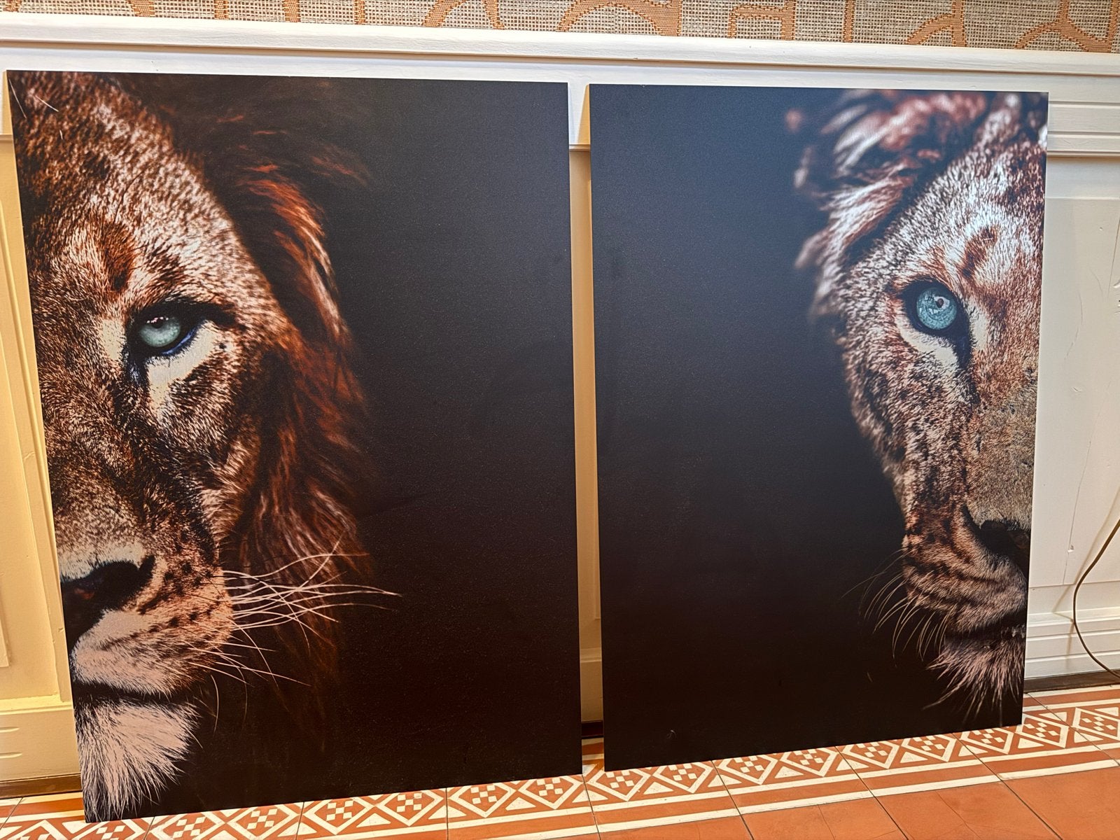 Foto panelen Leeuw en Leeuwin 100x70cm, Ophalen of Verzenden, Foto, Fotografie