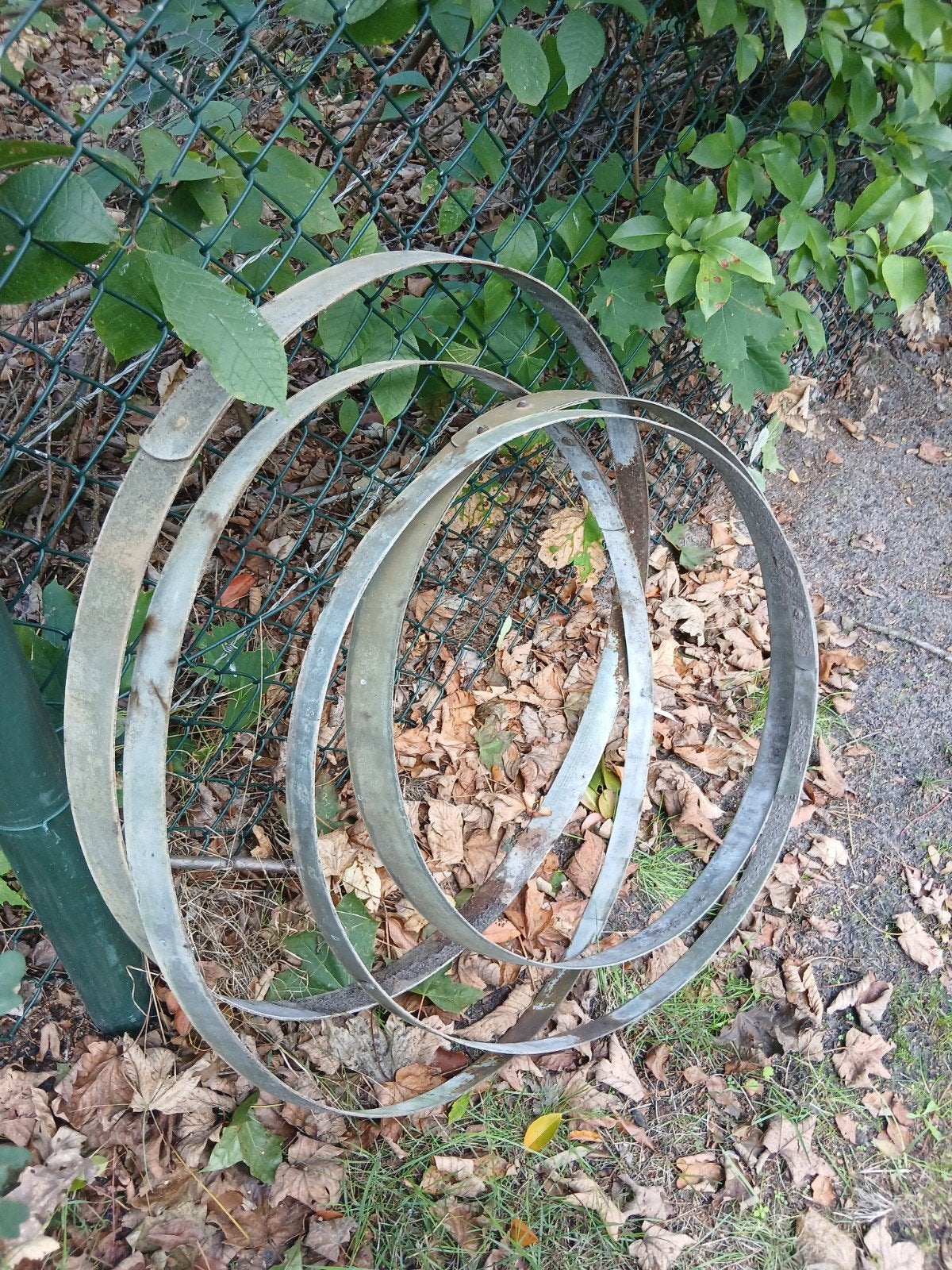 Metalen ringen van oude regenton, Tuin en Terras, Ophalen of Verzenden, Gebruikt, Overige materialen
