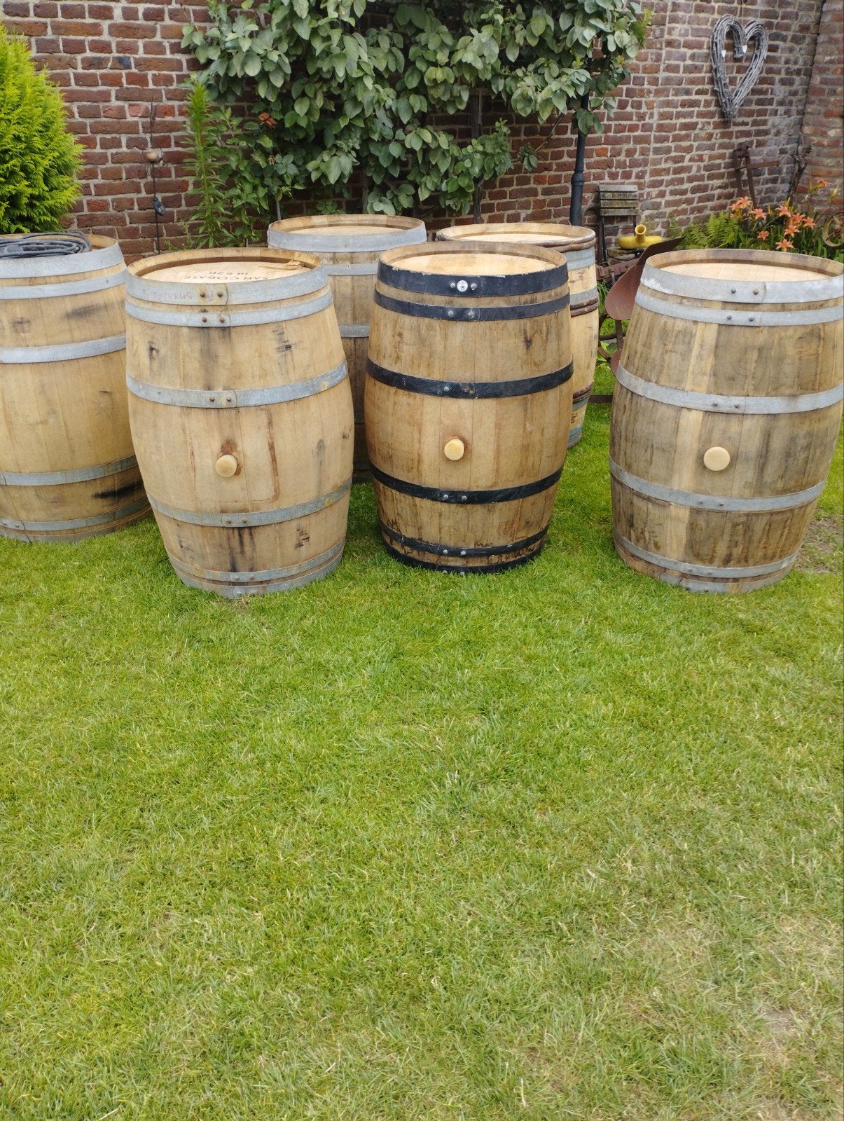 regentonnen, wijnvaten, 150 liter of meer, Ophalen, Hout