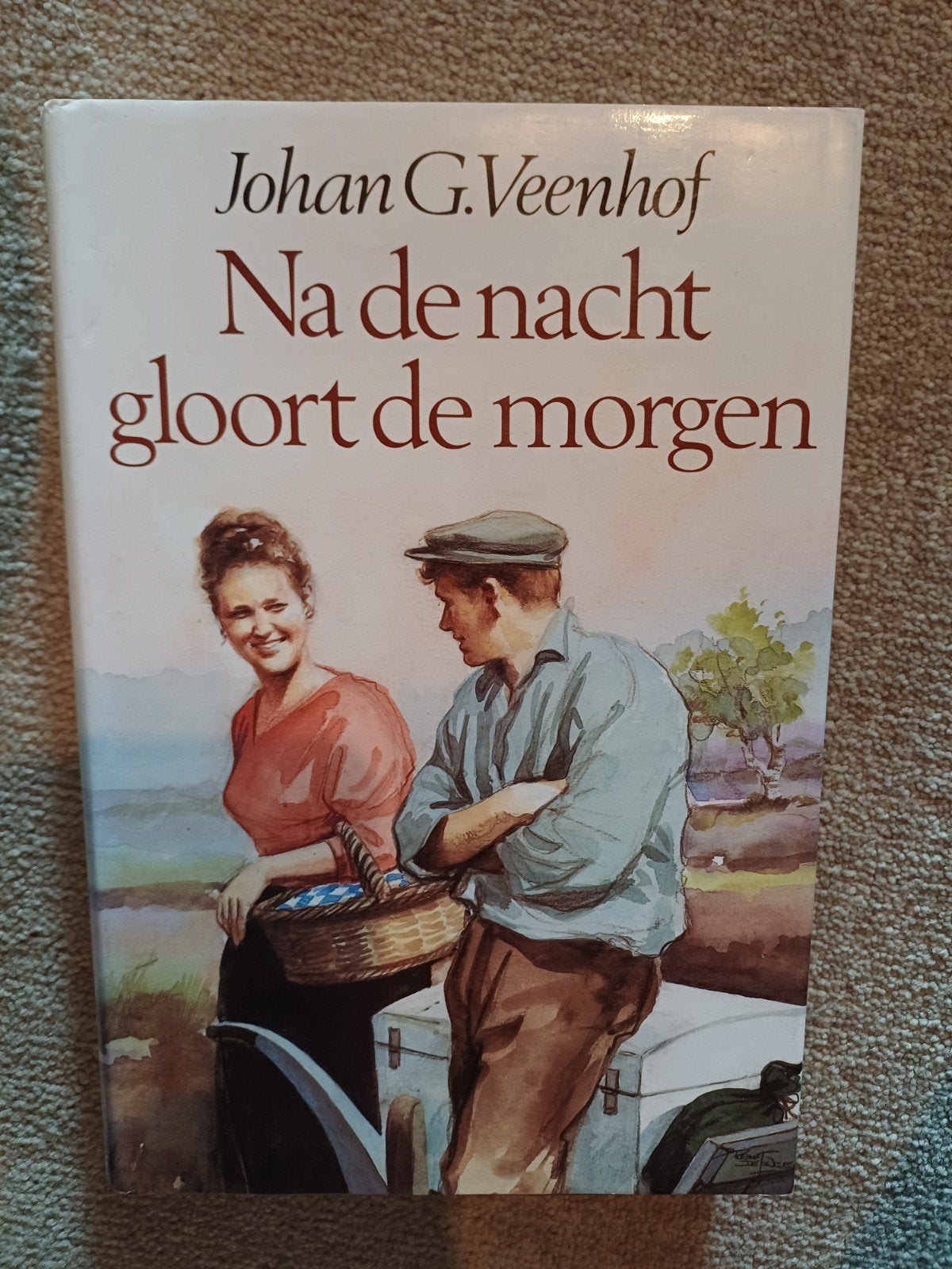 Na de nacht gloort de morgen - Johan G. Veenhof, Boeken, Ophalen of Verzenden, Gelezen, Johan G. Veenhof, Nederland