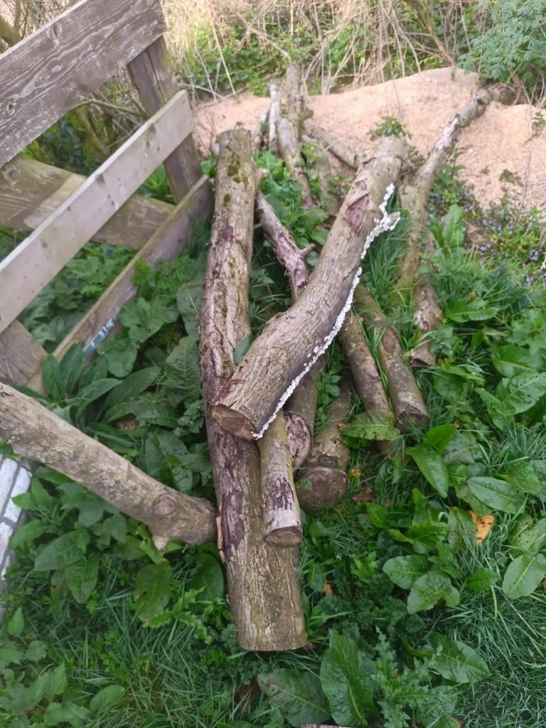 Noten hout, Doe-het-zelf en Verbouw, Ophalen
