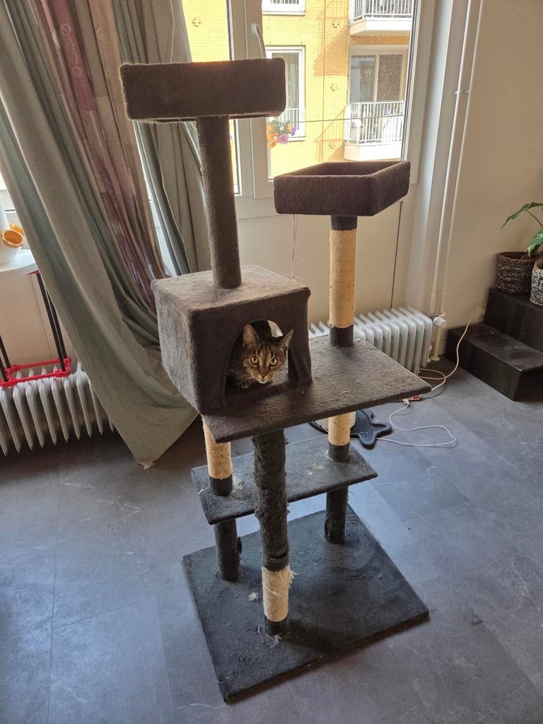 Krabpaal gratis op te halen exclusief kat, Ophalen, Gebruikt, Krabpaal