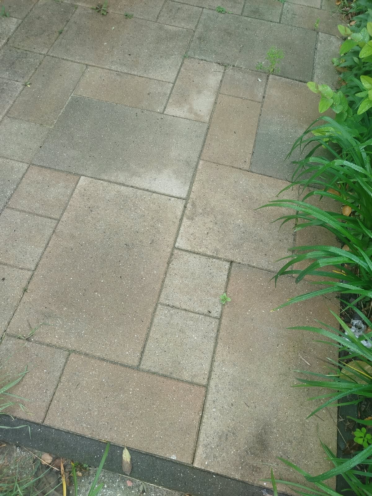 Gebruikte terrastegels, Ophalen, Gebruikt, 10 m² of meer, Beton