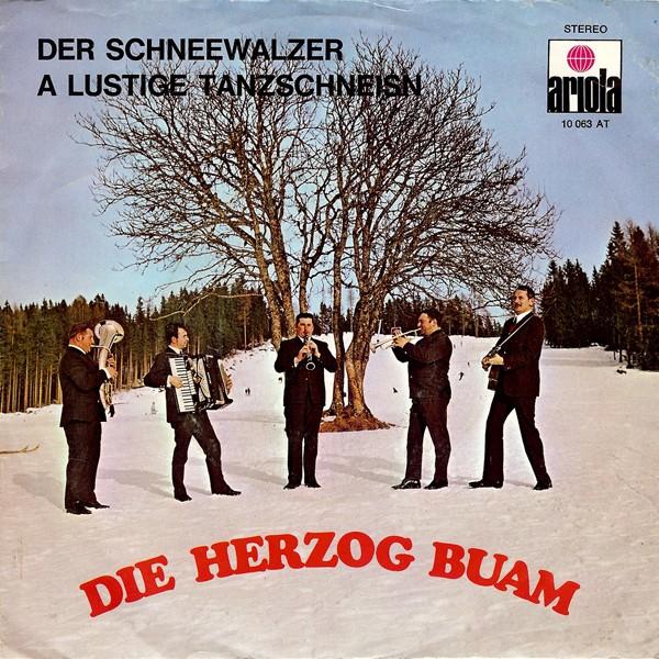 Die Herzog Buam - Der Schneewalzer, Cd's en Dvd's, Gebruikt, Verzenden, Wereldmuziek, 7 inch