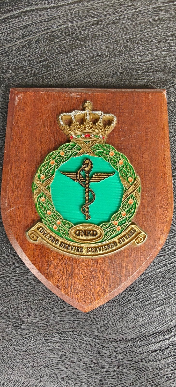 Wandschild IGDKLu (Inspectie Geneeskundige Dienst Koninklijk, Verzamelen, Ophalen of Verzenden, Luchtmacht, Nederland, Embleem of Badge