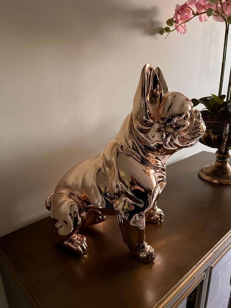 Nieuw!!!
Prachtige Franse Bulldog
Hoog 37,5 cm.
Lengte 37, Ophalen of Verzenden