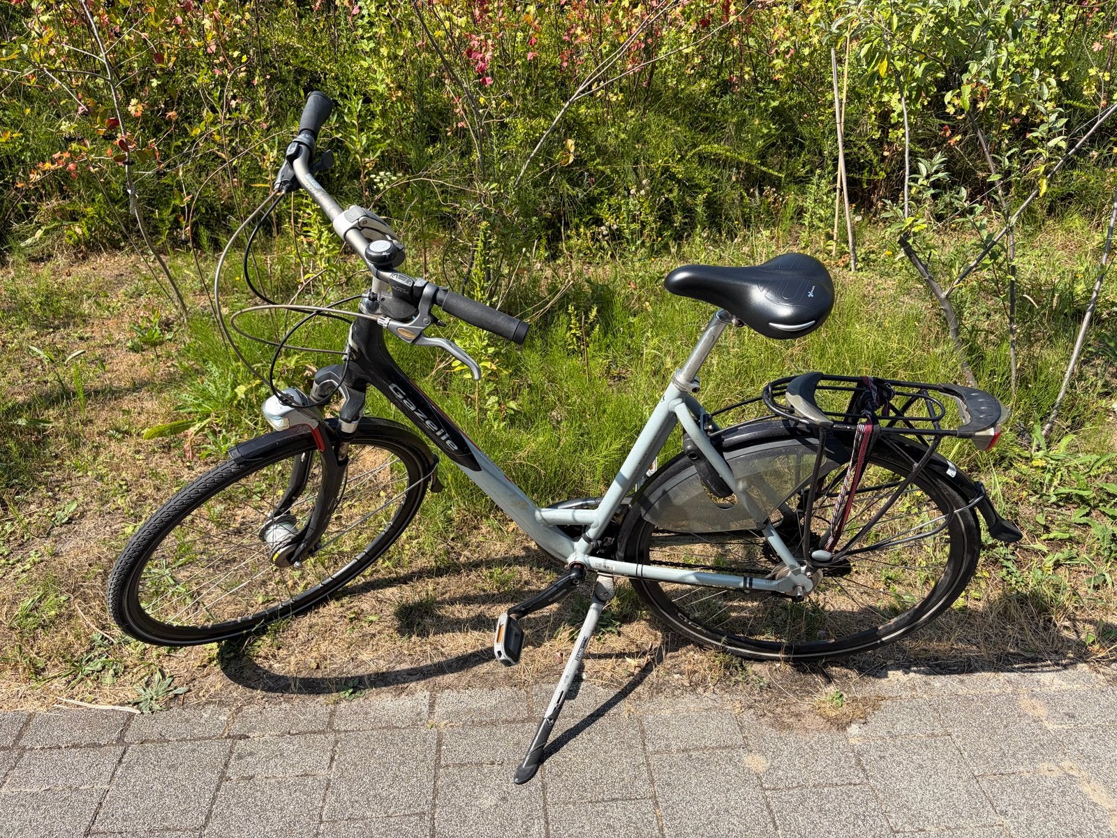 Gazelle Allure Ltd Damesfiets 28 inch, Ophalen, Gebruikt, Versnellingen, Gazelle