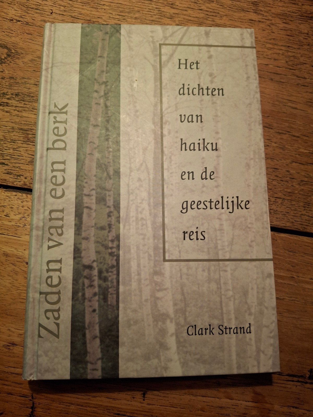 C. Strand - Zaden van een berk, Ophalen of Verzenden, Zo goed als nieuw, C. Strand