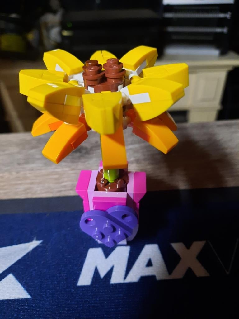 Vriendschapsbloem, Ophalen of Verzenden, Zo goed als nieuw