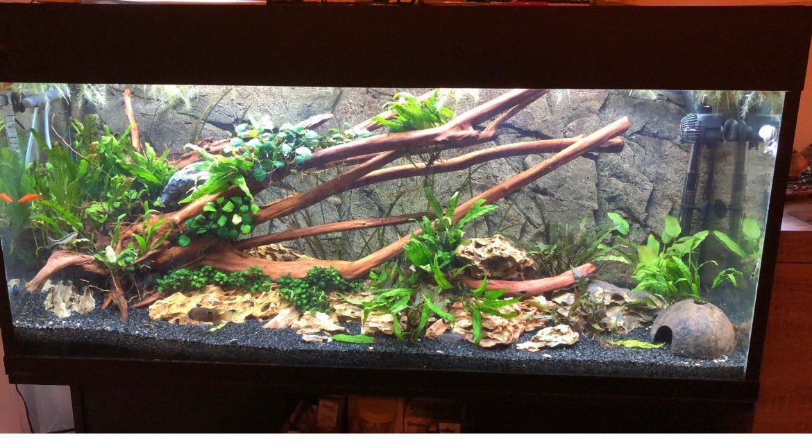 Aquarium 240L, Ophalen, Gebruikt, Overige merken, Leeg aquarium