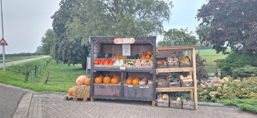 Pompoenen en Kalebassen, Tuin en Terras, Ophalen, Nieuw