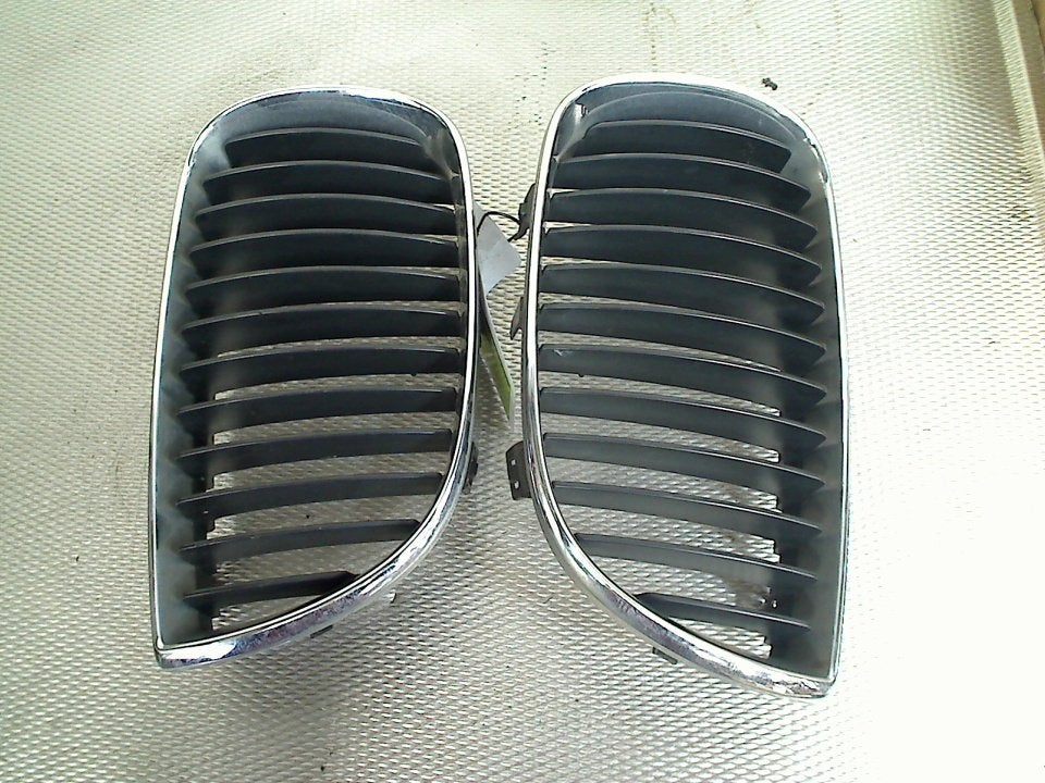 Grille BMW 1 serie (E87/87N) (2004-07/2007-02), Gebruikt, Petuelring 130, München 80809, , Duitsland, BMW, Bayerische Motoren Werke AG
